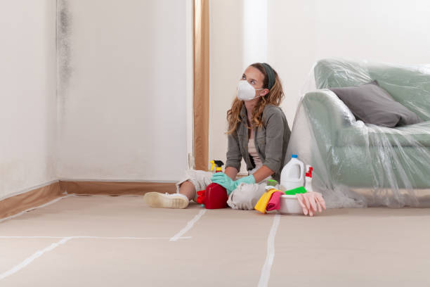 Reliable Mold Cleanup contractor in Nunica, MI by WQB Mold Removal